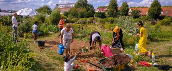 Devenir membre du Jardin Collectif du Chant des Cailles