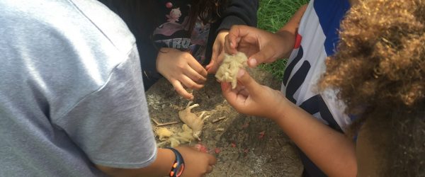 Collaboration avec la Maison de Quartier des Cités-Jardins