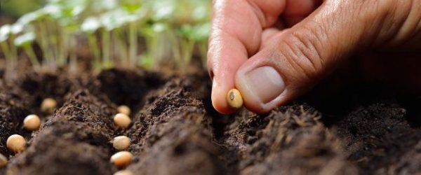 Soutien de la Fondation Qi Green