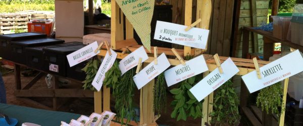 Produits à base d’herbes