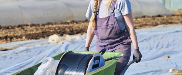 La Coopérative du Chant des Cailles SCRL-FS recherche un(e) Maraîcher.ère