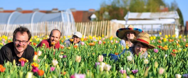 La Ferme du Chant des Cailles recherche un soutien en gestion des ressources humaines