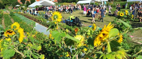 Programme des activités de juillet au Chant des Cailles