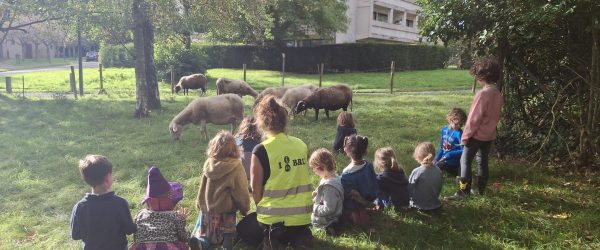 Formation/stage bénévole activités pédagogiques de la ferme