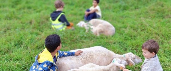 Stages juillet 2025 pour les enfants –