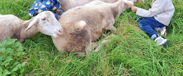 Formule pour les classes d’enfants