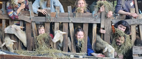 Étape cruciale pour le Bercail: soutenez la rénovation de la bergerie