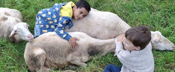Stages 2026 pour les enfants