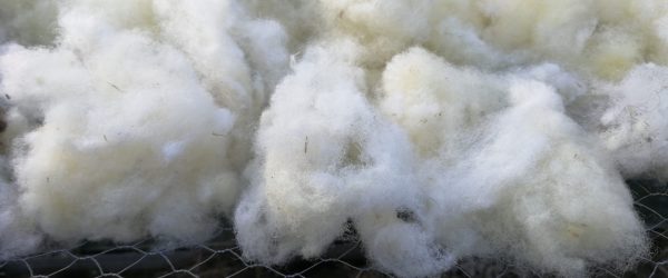 Ateliers laine ( pour adultes en individuel ou en groupe)