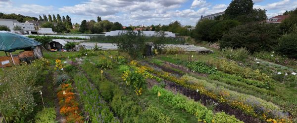 L’abonnement 2026 à l’auto-cueillette des Aromatiques du Chant des Cailles est maintenant ouvert 📣​​🌿​🌼​🌸​🌿